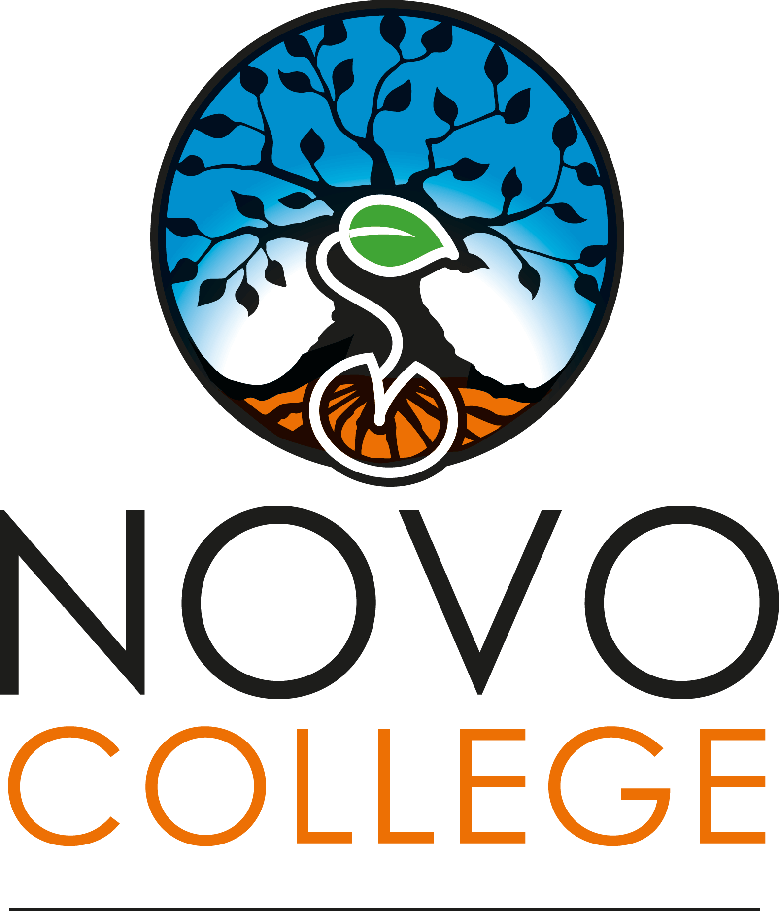Teamleider Novo College