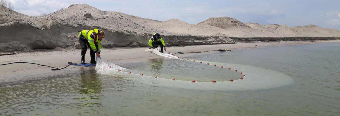 Vacature Water en Visstandbeheer Sportvisserij Nederland